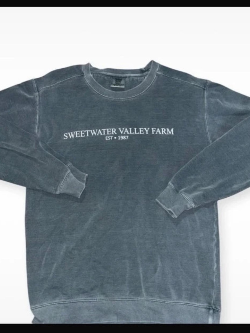 Comfort Colors woman’s Crewneck Sweatshirt in Washed Blue with Chest Print